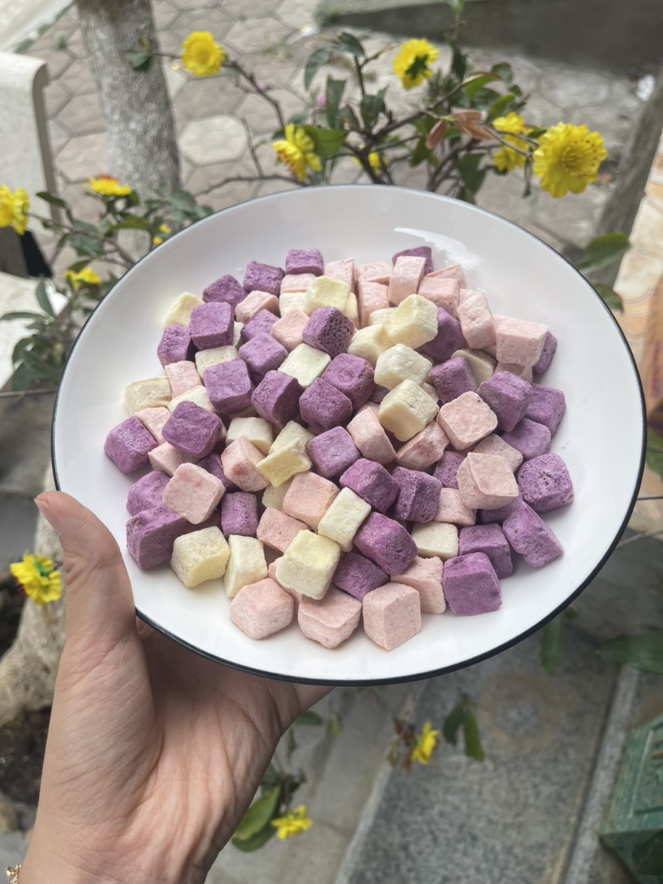Sublimation Dried Yogurt