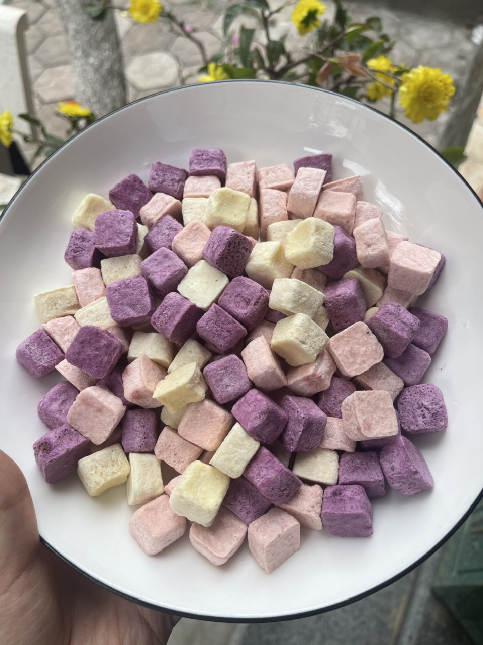 Sublimation Dried Yogurt