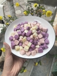 Sublimation Dried Yogurt